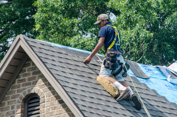 Quick and Trustworthy Emergency Roof Repair Services in Fulton, TX
